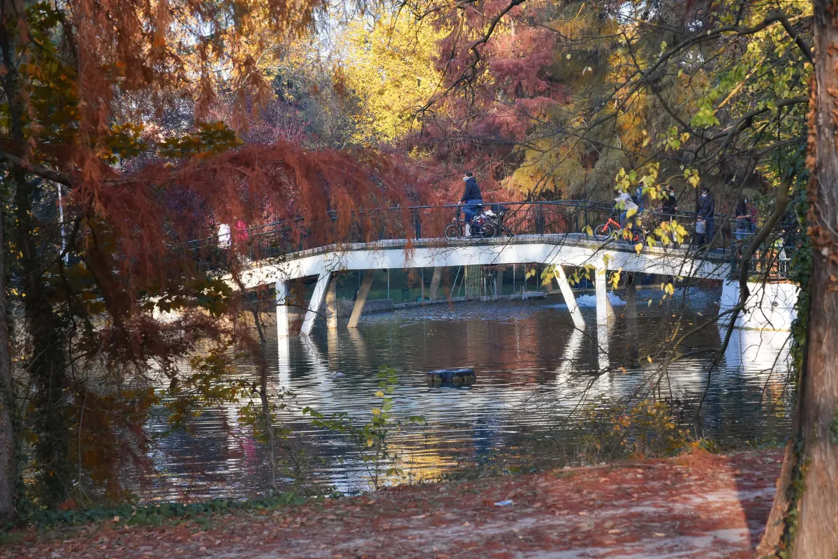 Petit pont blanc sur le lac des Giardini Margherita, feuillages d’automne