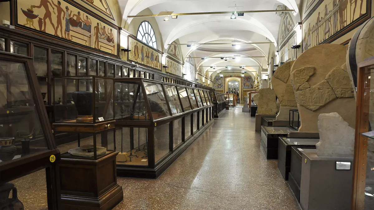 Salle de la collection égyptienne du musée archéologique, vitrines et stèles