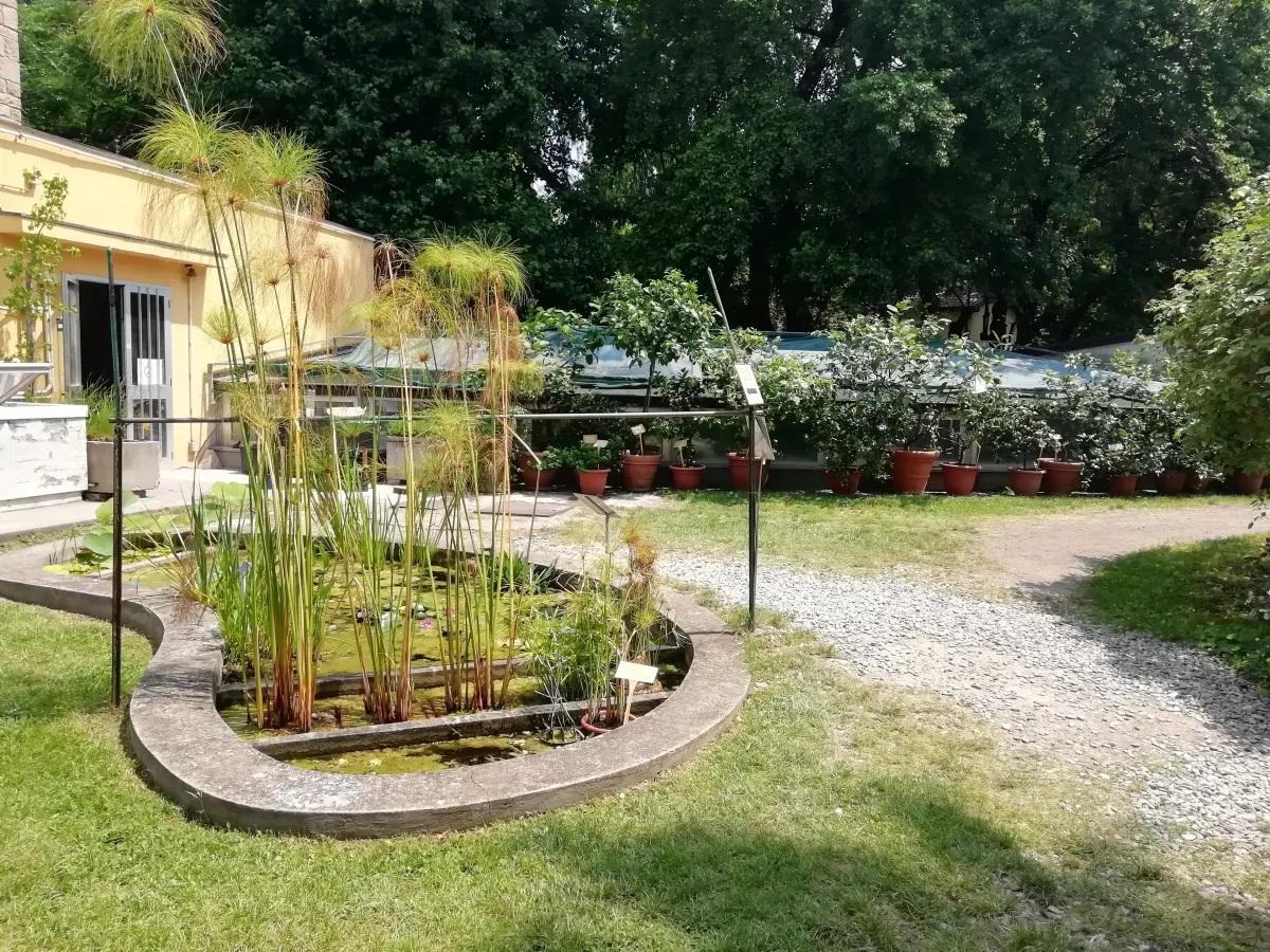 Bassin et allées du jardin botanique de l’université de Bologne