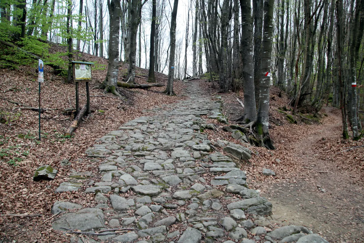 Pavés de l’ancienne voie romaine Flaminia Militare dans une forêt de l’Apennin